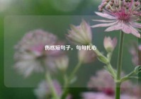 伤感短句子，句句扎心