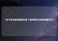 一些干净治愈的爱情文案（那些藏在心里的爱情句子）
