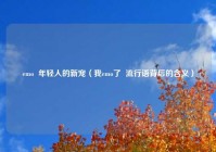 emo  年轻人的新宠（我emo了  流行语背后的含义）