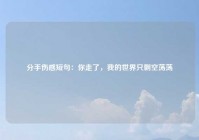 分手伤感短句：你走了，我的世界只剩空荡荡