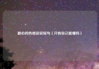 戳心的伤感说说短句（只有自己能懂吗）