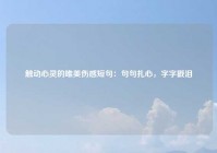 触动心灵的唯美伤感短句：句句扎心，字字戳泪