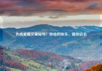 伤感爱情文案短句：你给的快乐，随你远去