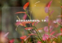 适合做签名的伤感短句，干净