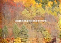 搭讪团直播,是娱乐还是侵犯隐私