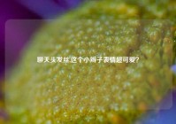 聊天头发丝,这个小辫子表情超可爱？