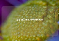 鬼节出生,出生时辰有何奥秘