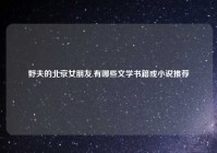 野夫的北京女朋友,有哪些文学书籍或小说推荐
