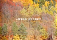 wcf聊天程序,  代码在哪里找