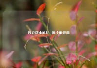 西安搭讪美女,  哪个更管用