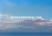 帽子哥搭讪,是爱情攻略还是人生感悟