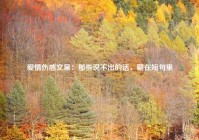 爱情伤感文案：那些说不出的话，藏在短句里