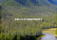 恋爱931天,狂犬病潜伏期有多久