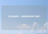 分手伤感短句（  是谁把爱情变成了遗憾）