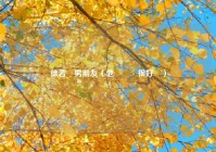 徐若瑄男朋友（他們關係很好嗎）