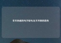 冬天伤感的句子短句,化不开我的悲伤