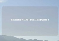 英文伤感短句文案（伤感文案短句英语）