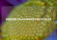 刺激的虎狼之词1000句,哪种虎狼之词让你又爱又恨