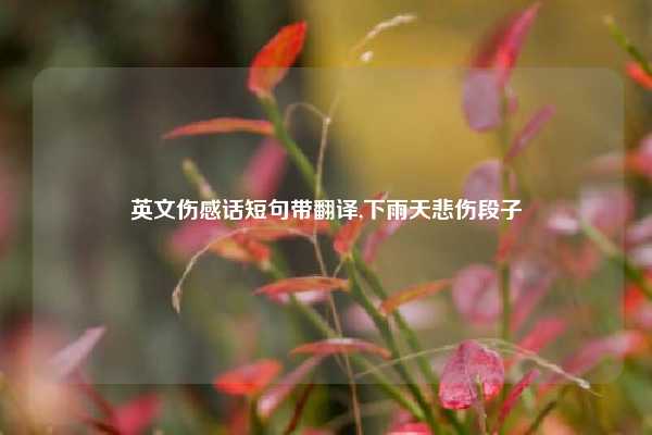 英文伤感话短句带翻译,下雨天悲伤段子