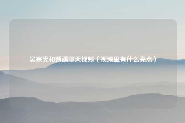 吴宗宪和鹦鹉聊天视频（视频里有什么亮点）