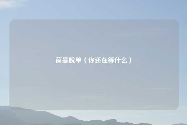 茵曼脱单（你还在等什么）