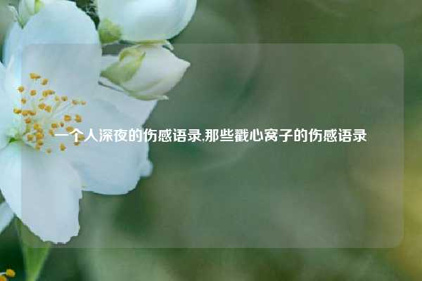 一个人深夜的伤感语录,那些戳心窝子的伤感语录