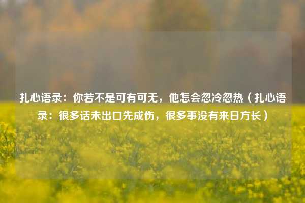 扎心语录：你若不是可有可无，他怎会忽冷忽热（扎心语录：很多话未出口先成伤，很多事没有来日方长）