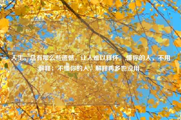 人生，总有那么些遗憾，让人难以释怀。,懂你的人，不用解释；不懂你的人，解释再多也没用。