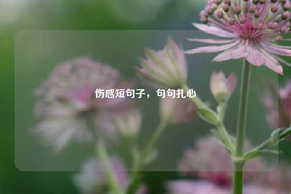 伤感短句子，句句扎心