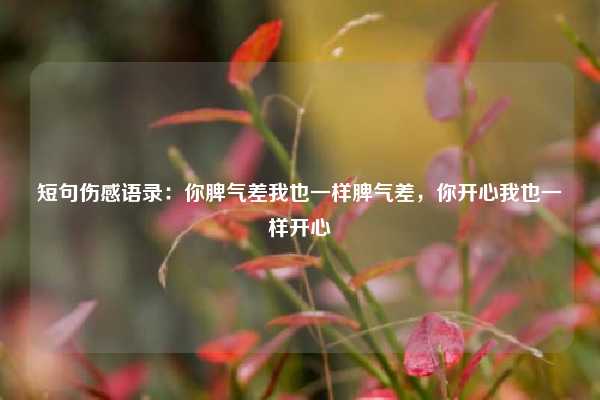 短句伤感语录：你脾气差我也一样脾气差，你开心我也一样开心