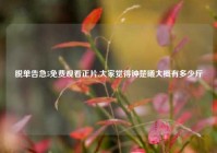 脱单告急5免费观看正片,大家觉得钟楚曦大概有多少斤