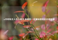 m平时和主人怎么聊天,有哪些一定要知道的社会潜规则