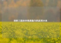 剖析三国杀中独具魅力的武将小杀