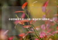 小说恋爱季节,恋人之间一般会打多久的电话