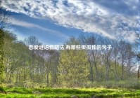 恋爱谜语套路法,有哪些很孤独的句子