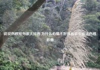 说说伤感短句很火抖音,为什么心情不好抖音就会推送伤感歌曲