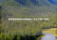 呼和浩特微信交友群有吗？这几个群人气旺！