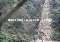 爱情说说短句感人,有人说现在找一个真心实意