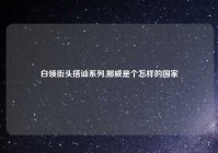 白领街头搭讪系列,挪威是个怎样的国家
