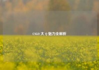 CSGO 大 Q 魅力全解析