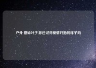 户外 搭讪叶子,你还记得爱情开始的样子吗