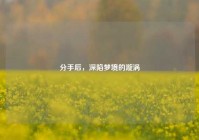 分手后，深陷梦境的漩涡