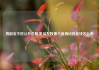 男朋友不想公开恋情,男朋友好像不舍得给我花钱怎么办