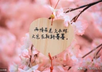 爱情文案小清新美句(暗示女朋友恋爱关系平等的文案)