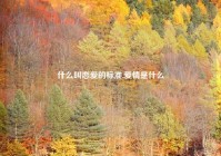 什么叫恋爱的标准,爱情是什么