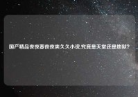 国产精品夜夜春夜夜爽久久小说,究竟是天堂还是地狱？