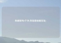 伤感短句4个字(发信息给前女友)