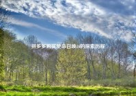 拼多多购买使命召唤16的探索历程