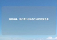 胃里蝴蝶，爱的奇妙悸动与生命的斑斓变奏