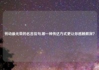 劳动最光荣的名言佳句,哪一种传达方式更让你感触颇深？